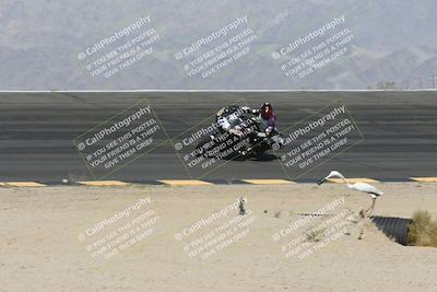 media/Apr-25-2025-BRL Bagger Racing League (Fri) [[6011495a33]]/1-Open Practice (9am-12pm)/2- (10am-11am)/